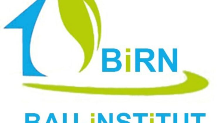 BiRN BAU iNSTiTUT